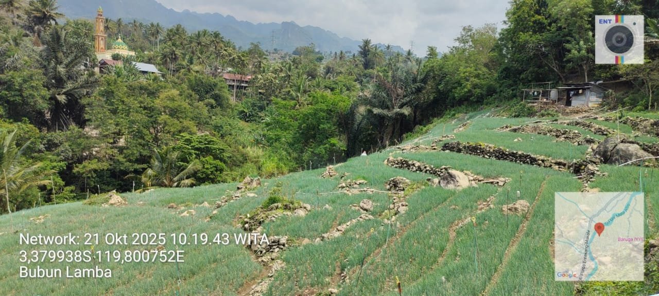 Bubun Lamba 3