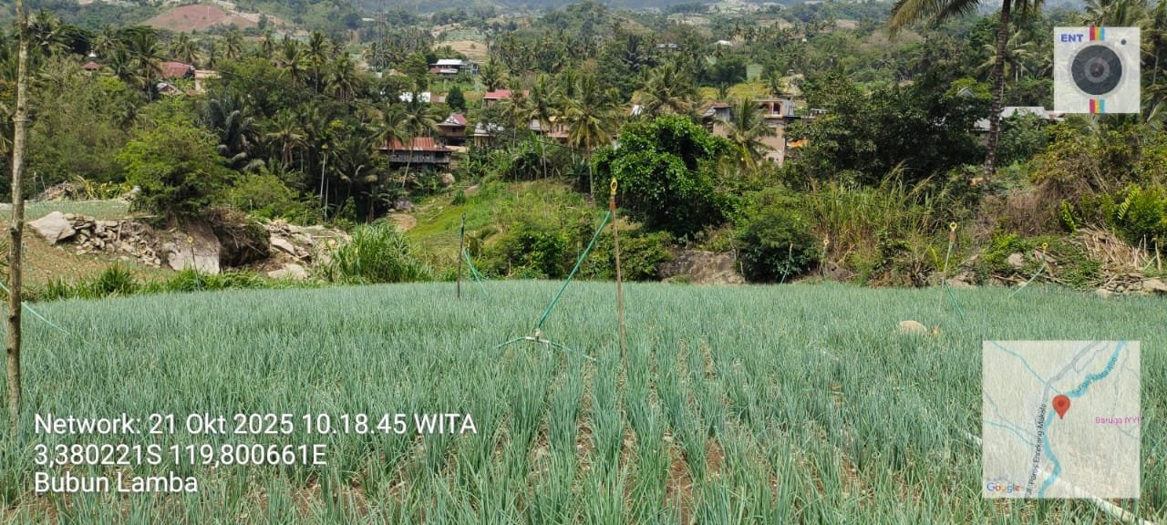 Bubun Lamba
