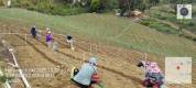IMG-20251006-WA0008